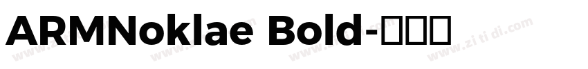 ARMNoklae Bold字体转换 ARMNoklae Bold字体转换